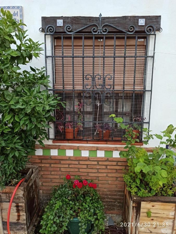 La Casita De Paco Albaicin Apartment Granada Exterior foto